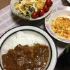 カレーの恩返し・1日おいて2日め