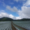 最近の2021夏　菅平高原の風景