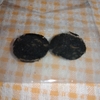 朽ち果てたイヤホンカバーが出てきた