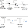 Deep Learningの計算過程を見える化してみる