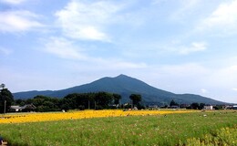 記事を見る
