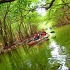 冬休みは家族旅行で秘境探検へ～🛶西表島旅行