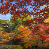 今熊野観音寺