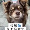 台風10号