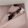 やっぱり私はお家が好き