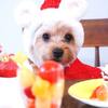 2024 クリスマス☆ローストチキン