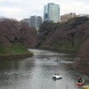 千鳥ヶ淵と九段下で三分咲きの花見