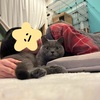 灼熱の遺物！！？？アサリのウ◯コは危険物！！？？
