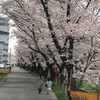 春うらら