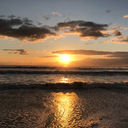 足の裏についた米粒の徒然な草～雌伏編