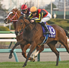 2024 - ローズステークス - 予想・見解 / S-Johnny's - Garden