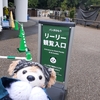 #上野動物園#リーリー観覧方法