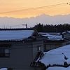 多分裏山最後の雪を楽しみに