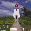 スクーター： 毎日港に現れる　ホーマー：いつも外で遊び歩いて---すごいジャンプでネズミを捕獲！　　早足サンディ：犬と大の仲良し．犬よりずっと早い！ プリンスエドワード島という素晴らしい場所で，伸び伸びと暮らすネコたち．野生の輝きを見せてくれます．赤毛のアンもこんなネコたちと遊んでいたのかな？