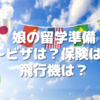 娘の留学準備～ビザは？保険は？飛行機チケットは？