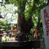 来宮神社　直書き御朱印の魅力と見どころを徹底紹介