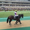 東京競馬10R テレビ静岡賞 パドック直前予想 ◎ 9 シグナルプロシード 9Rローズマンブリッジを本命にして馬券を外す鬼畜の諸行