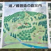 共生の森から鴻ノ峰へ