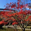 地震、飛行機事故…辰年だけに荒れる一年なのか