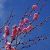 閏年・・