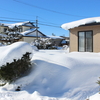 今年は大雪です