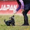 ４月１４日・・・ソロの状況