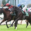 競馬初心者必見☆馬券予想🔥〜福島記念〜血統的に狙いたい馬が1頭います！