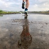 雨上がりのスイング