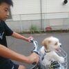 自転車