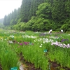 雨の「花しょうぶ祭り」と「にぎわい市」！！