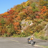 朝日スーパーライン　奥三面ダム　紅葉ハント♪