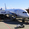 NH JA892A B787-9