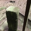 大雪の日の東急バス