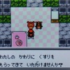 アラサーがポケモン剣盾に手を出した