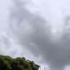 アラ還おひとり様。社会との接点を保つための代償はこのストレス。
