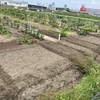 R4年6月13日