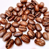 「普段のコーヒー豆」が「3％の希少豆」になるピーベリー。味の違いは？