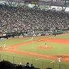 ホークス　観戦　２勝4敗　２０１７年まとめ