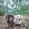 奥利根キャンプ 3