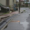 ７月５日雨の江戸川区東葛西から一之江の情景　と猫さま散歩