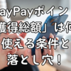 PayPayポイント「獲得総額」は何？使える条件と落とし穴！