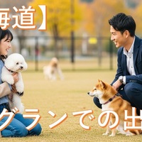 【北海道】独身犬好き必見！：北海道ドッグラン恋物語