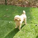 言葉にできないコトバたち