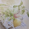 2025年1月：『冬を描くー冬野菜　カラフルな蕪』