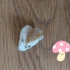 きのこ🍄拾い食い騒動