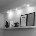 monotone-room’s blog