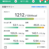 【マイナス15キロ】100日ダイエット89、90日目☀️殺人的な暑さに立ち向かう
