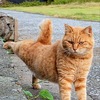 昨日と今日の暴落について