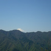 松姫峠と鶴峠を走ってきた。