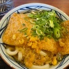 きつねうどん